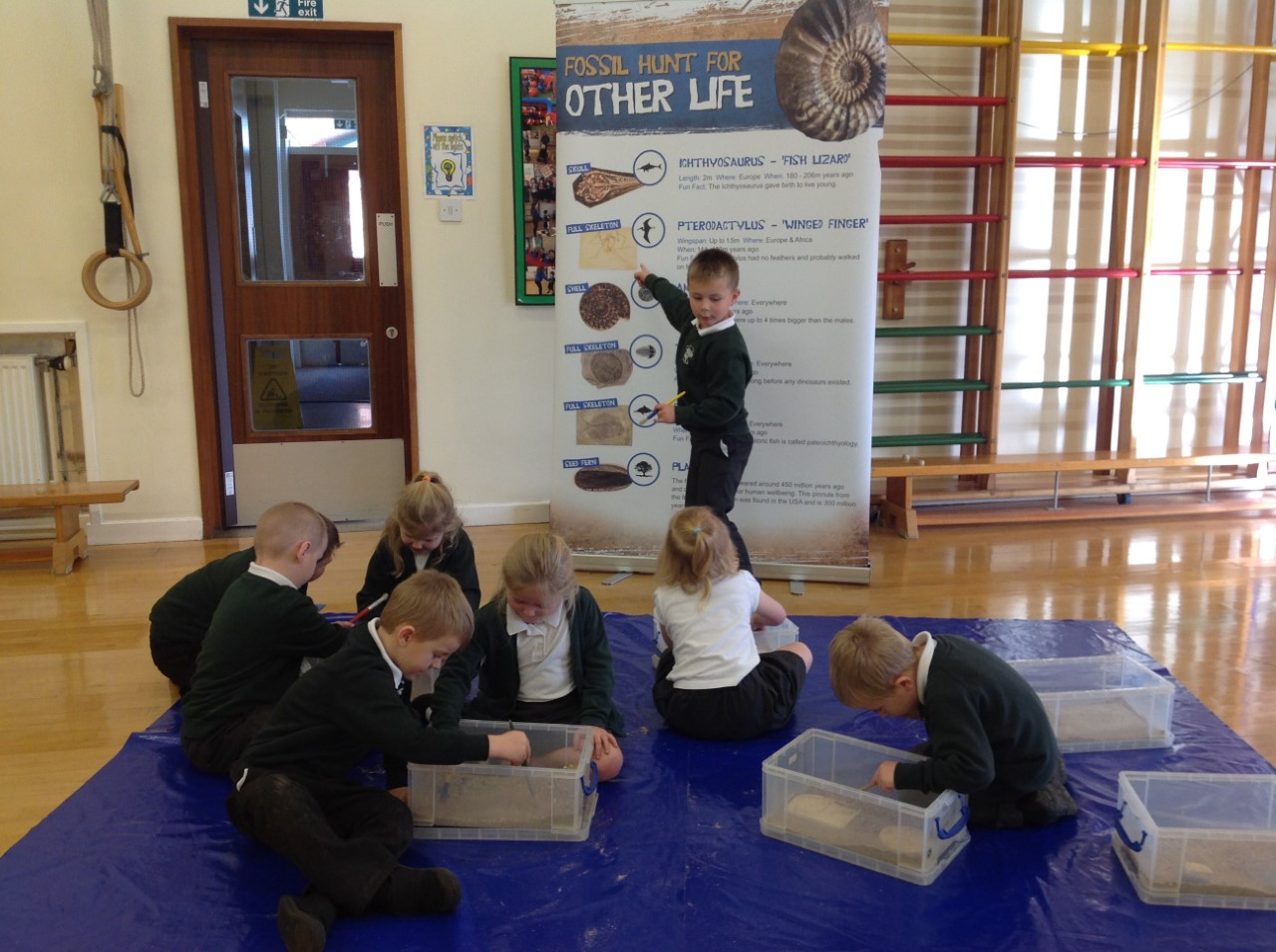 Fossil Hunters!
